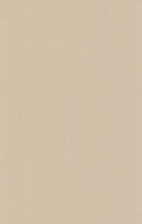 413 HG Beige