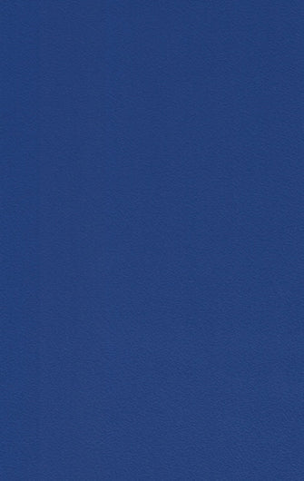 418 SFS ELECTRIC BLUE