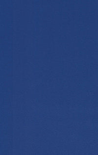 418 SFS ELECTRIC BLUE
