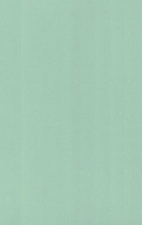 425 SLM SEA GREEN