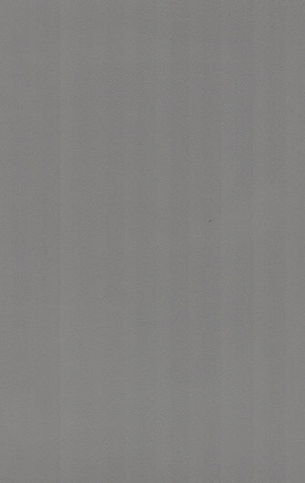 426 SFS ASH GREY