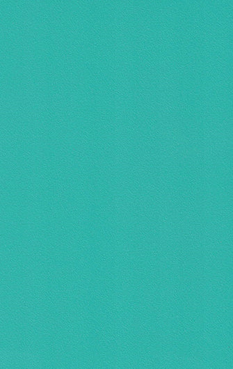 429 HG AQUA GREEN