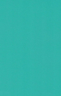 429 HG AQUA GREEN