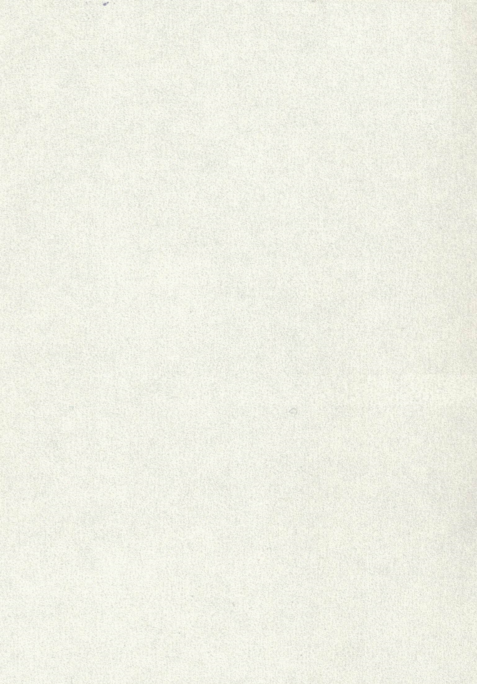 445 SSW METAL WHITE