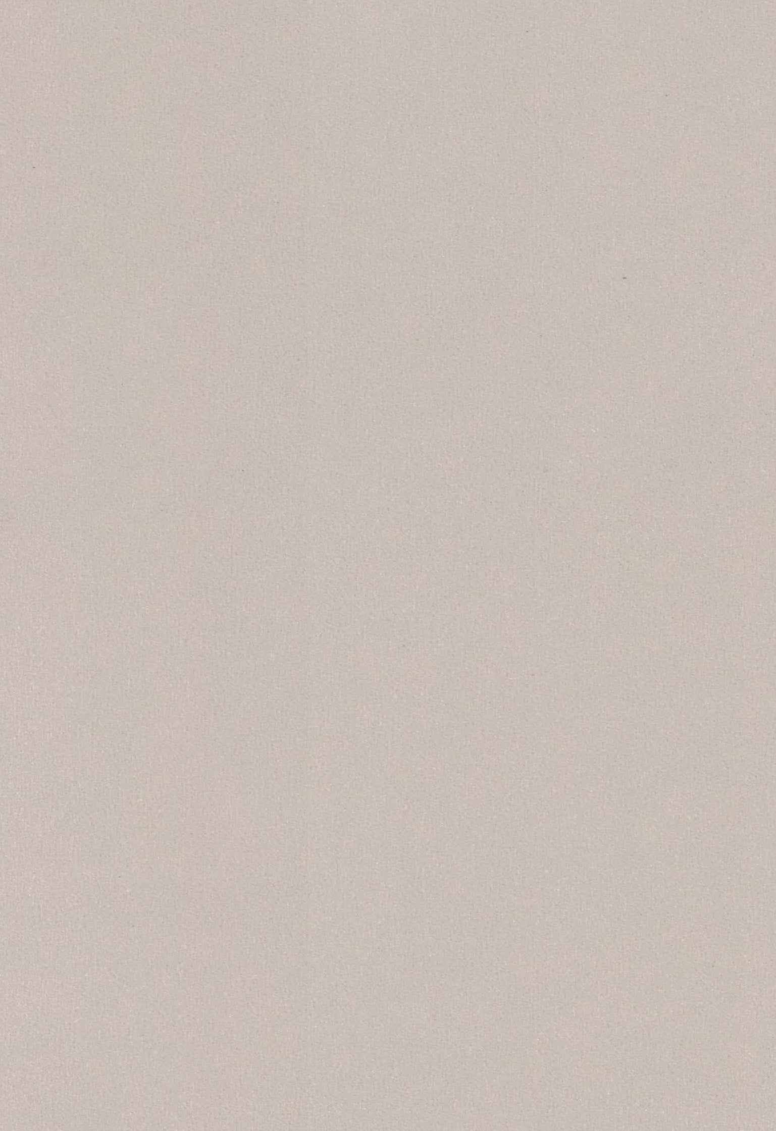 446 SSW METAL BEIGE
