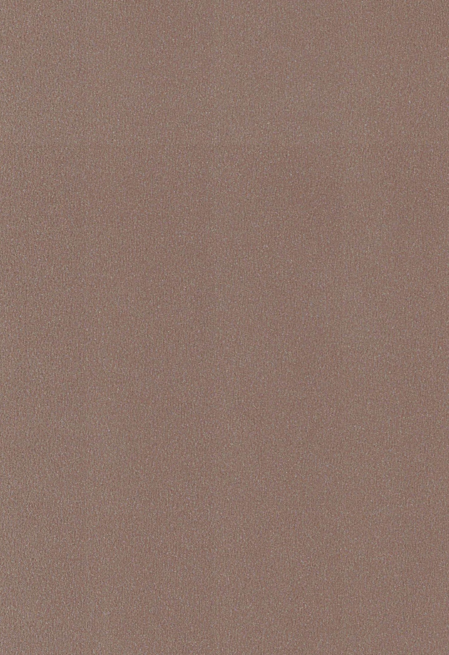 447 SSW OATMEAL