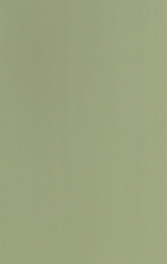 461 SLM PALE GREEN
