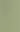 461 SLM PALE GREEN