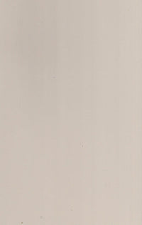 483 GLT PERFECT BEIGE