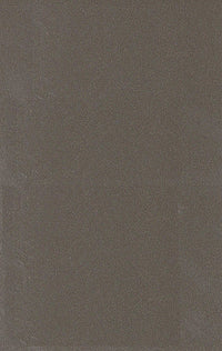 489 HG PINE NUT