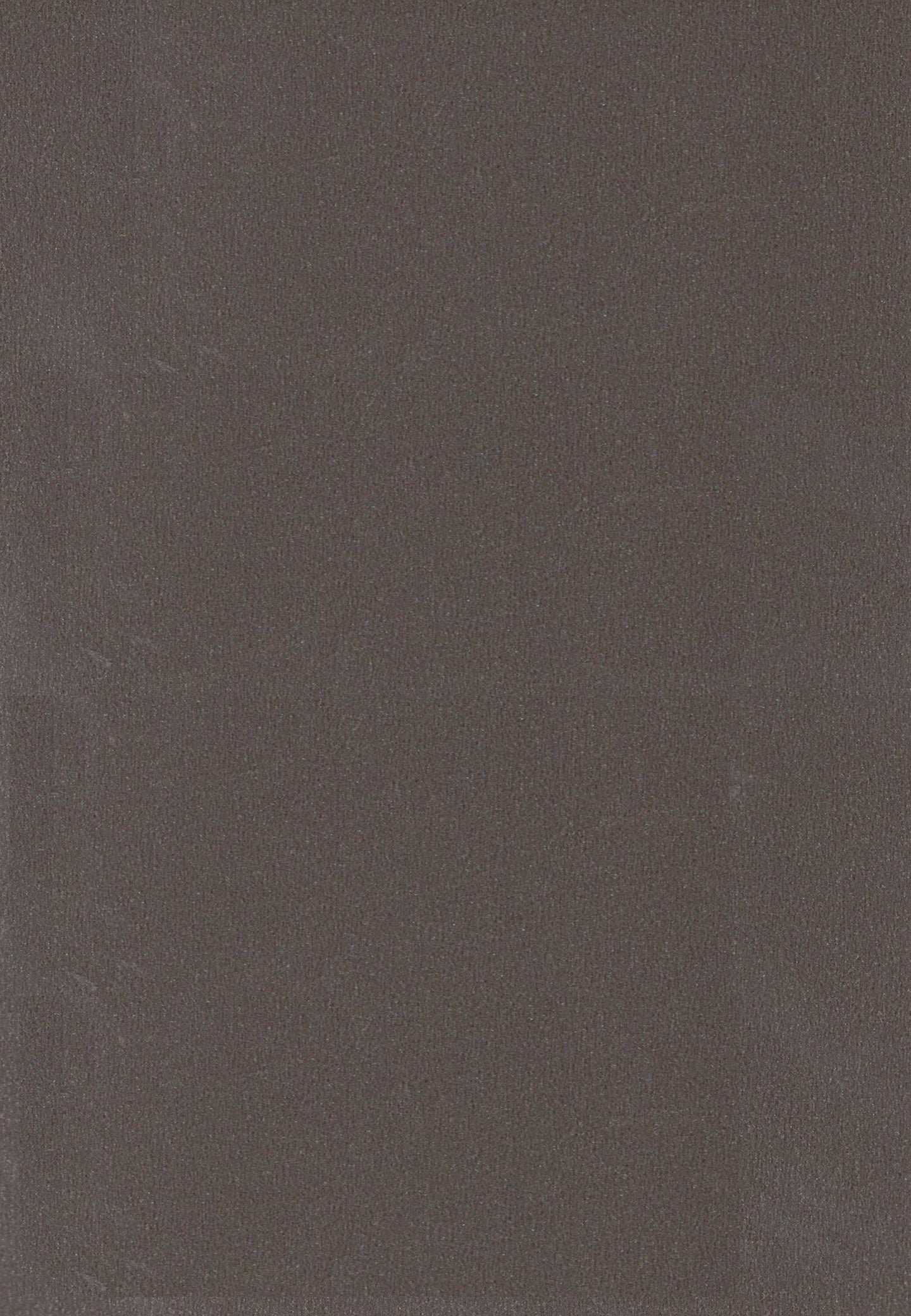 489 SSW PINE NUT