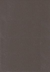 489 SSW PINE NUT