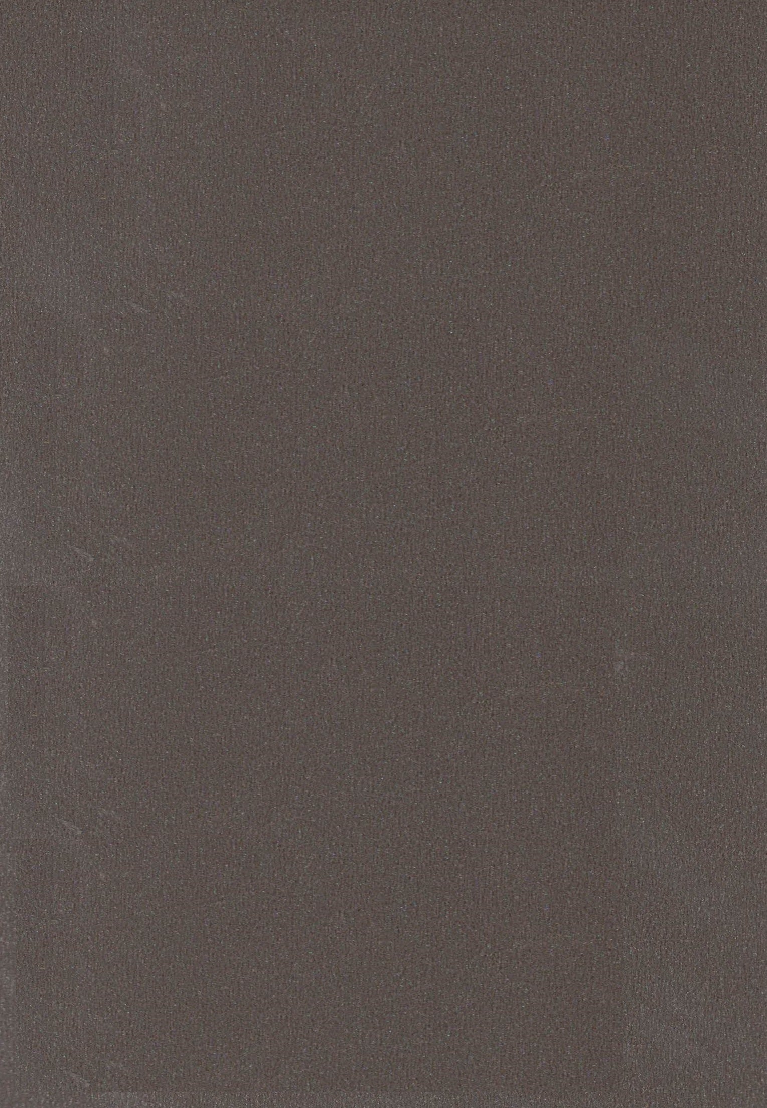 489 WWC PINE NUT