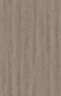 533 ZS3 CEDAR II
