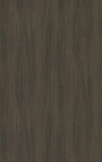 546 ZS4 ASH DARK