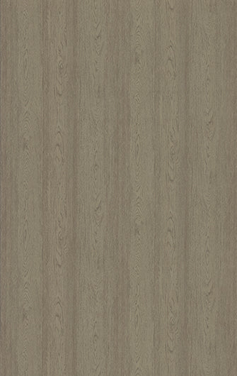 575 SFS CALIFORNIA ELM