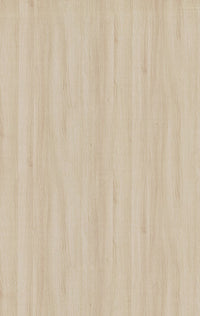 581 SFS ACACIA LIGHT