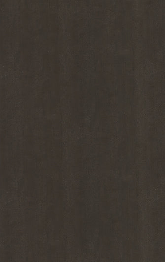 594 HG EUCLID BROWN