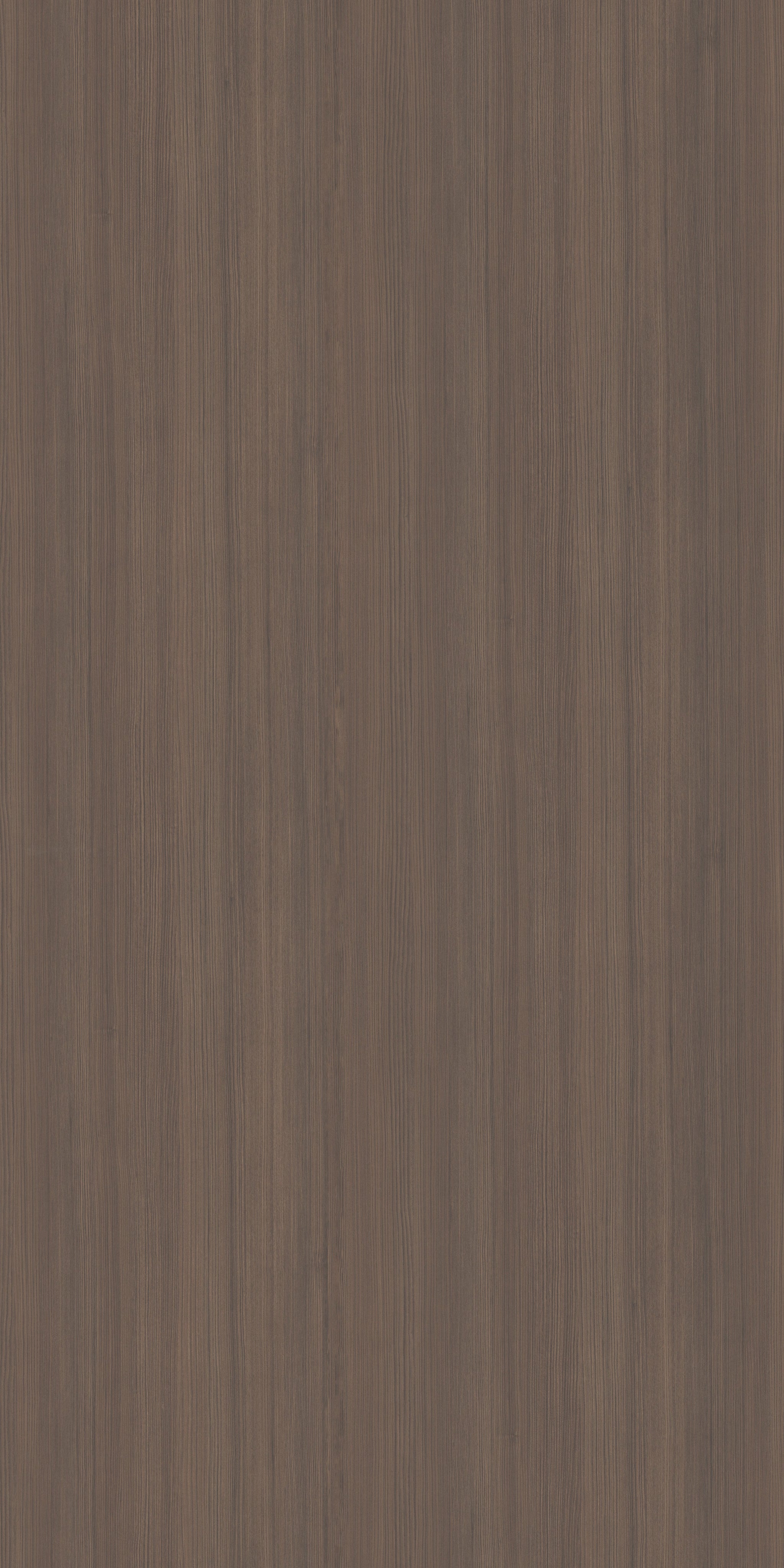 619 ZS10 Ebony Dark