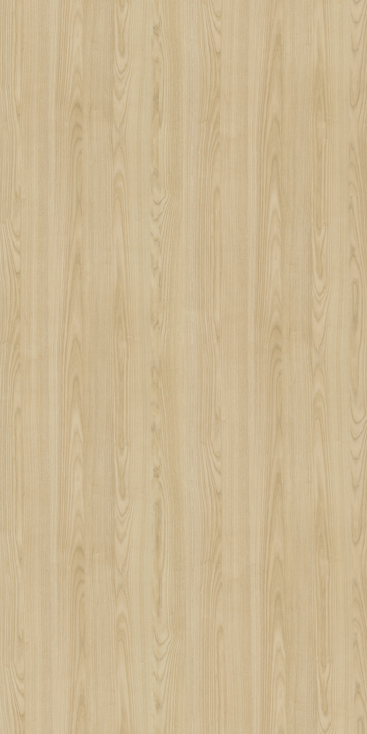 627 SFS Birch Wood