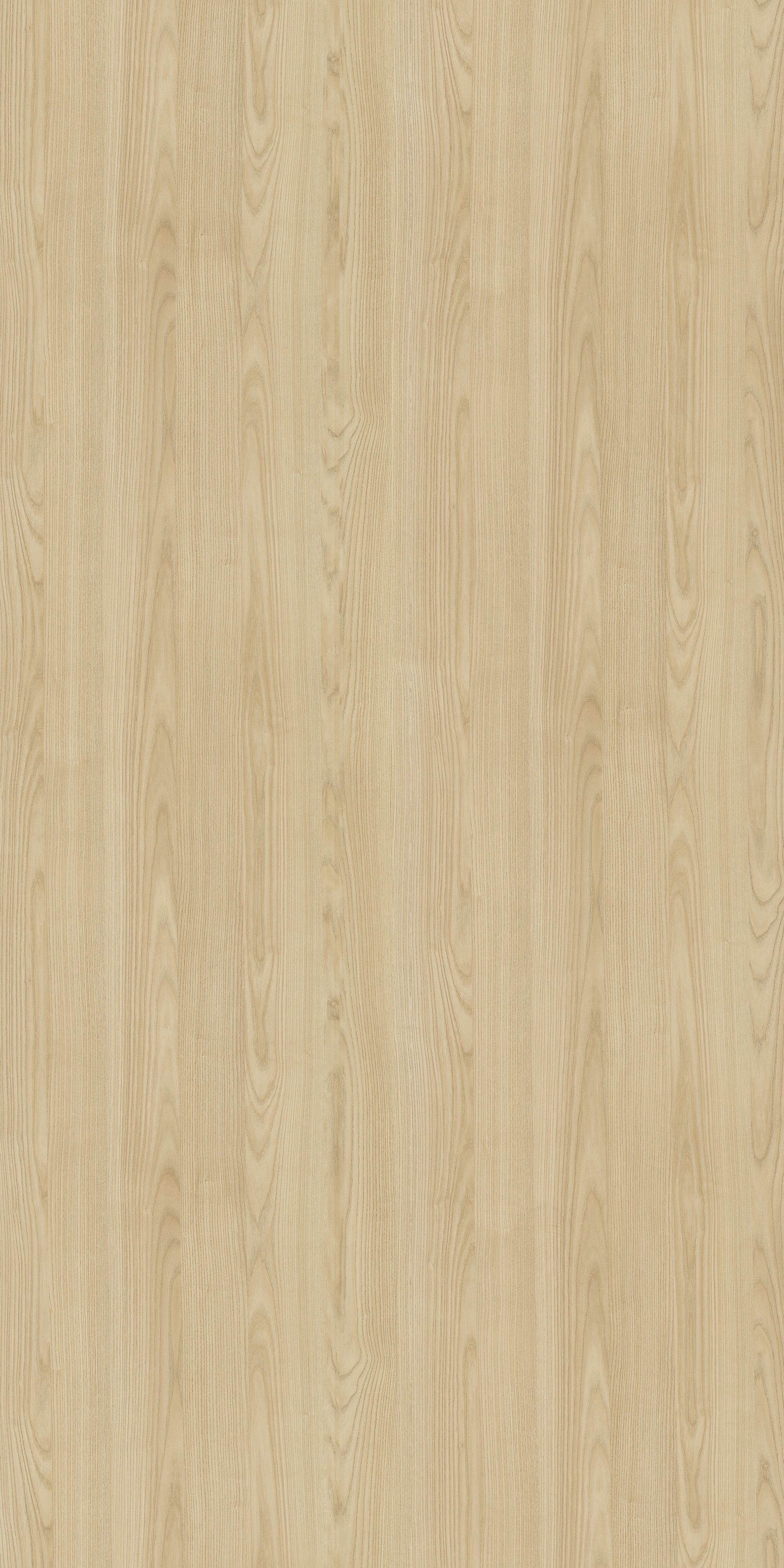 627 SFS Birch Wood