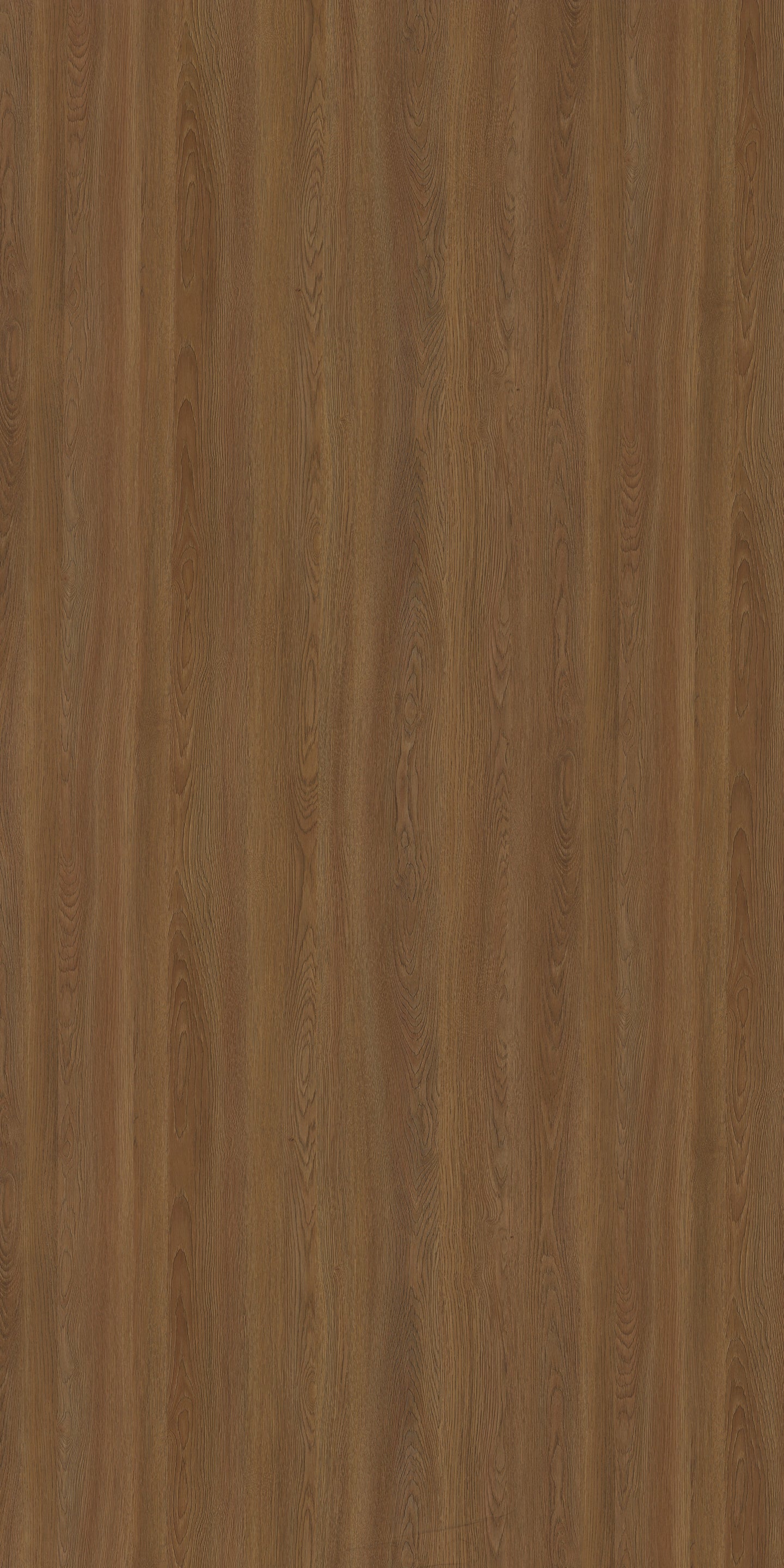 654 CRE 2 Siberian Oak I