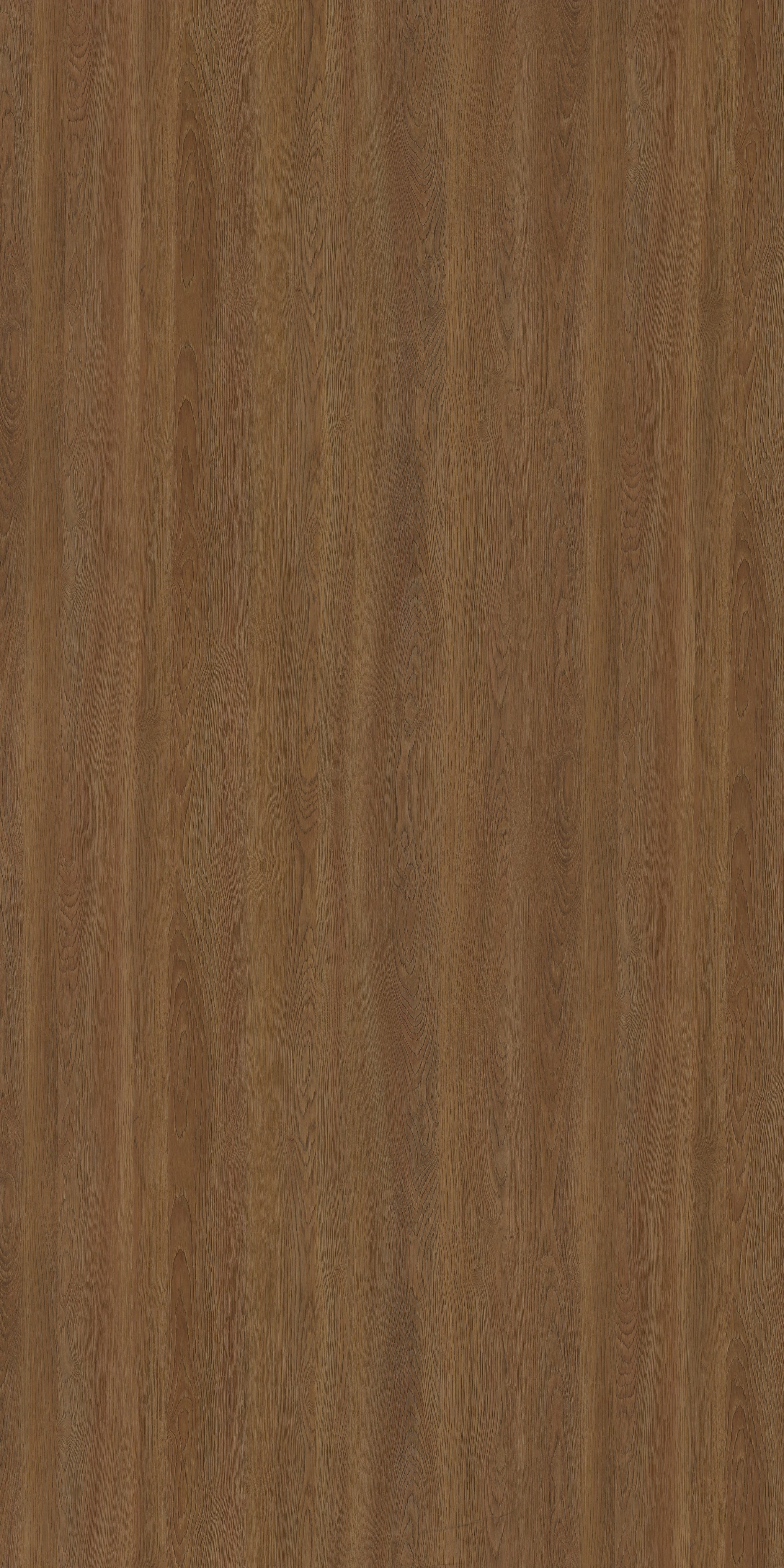 654 CRE 2 Siberian Oak I