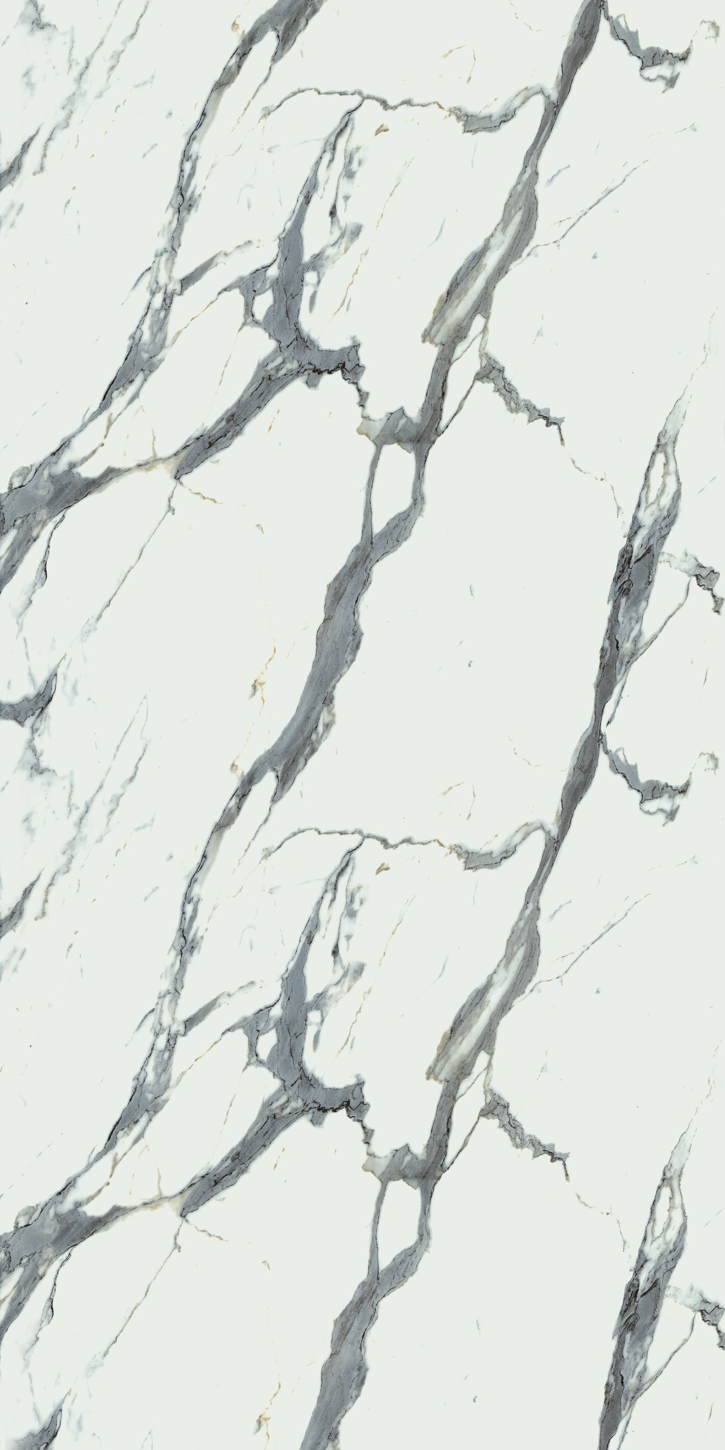 660 CRE 5 White Satvario
