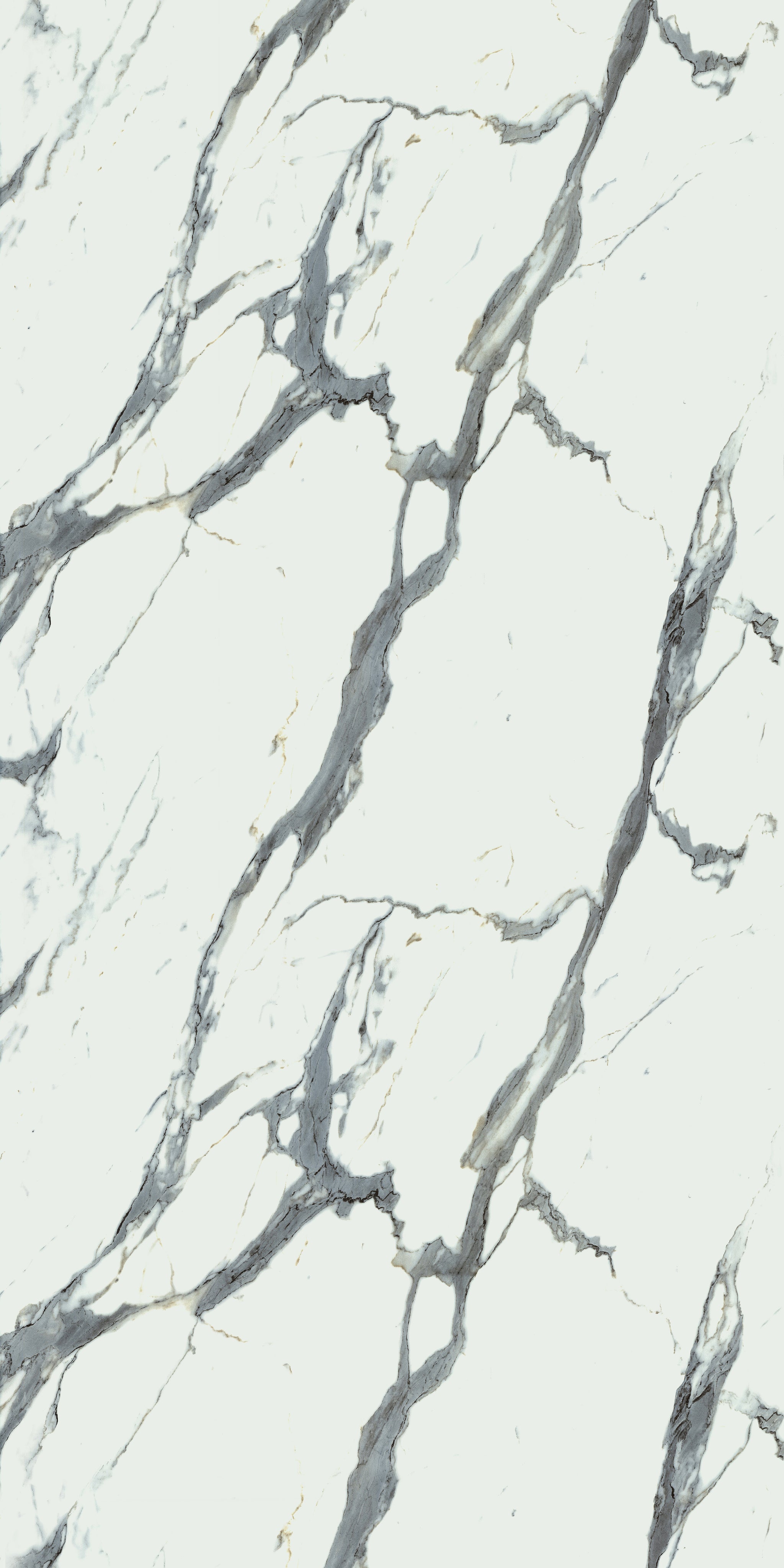 660 CRE 5 White Satvario