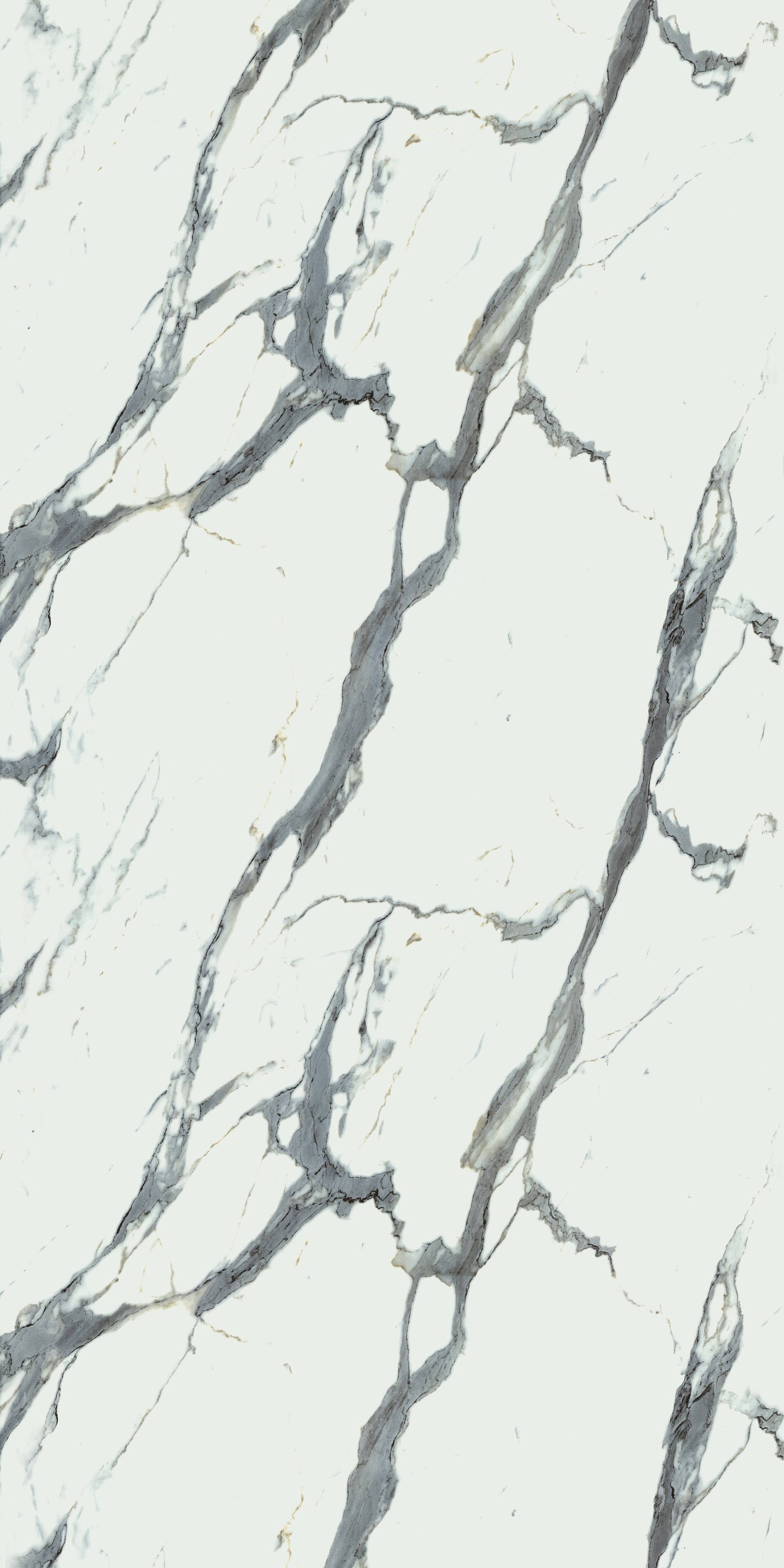 660 CRE 4 White Satvario