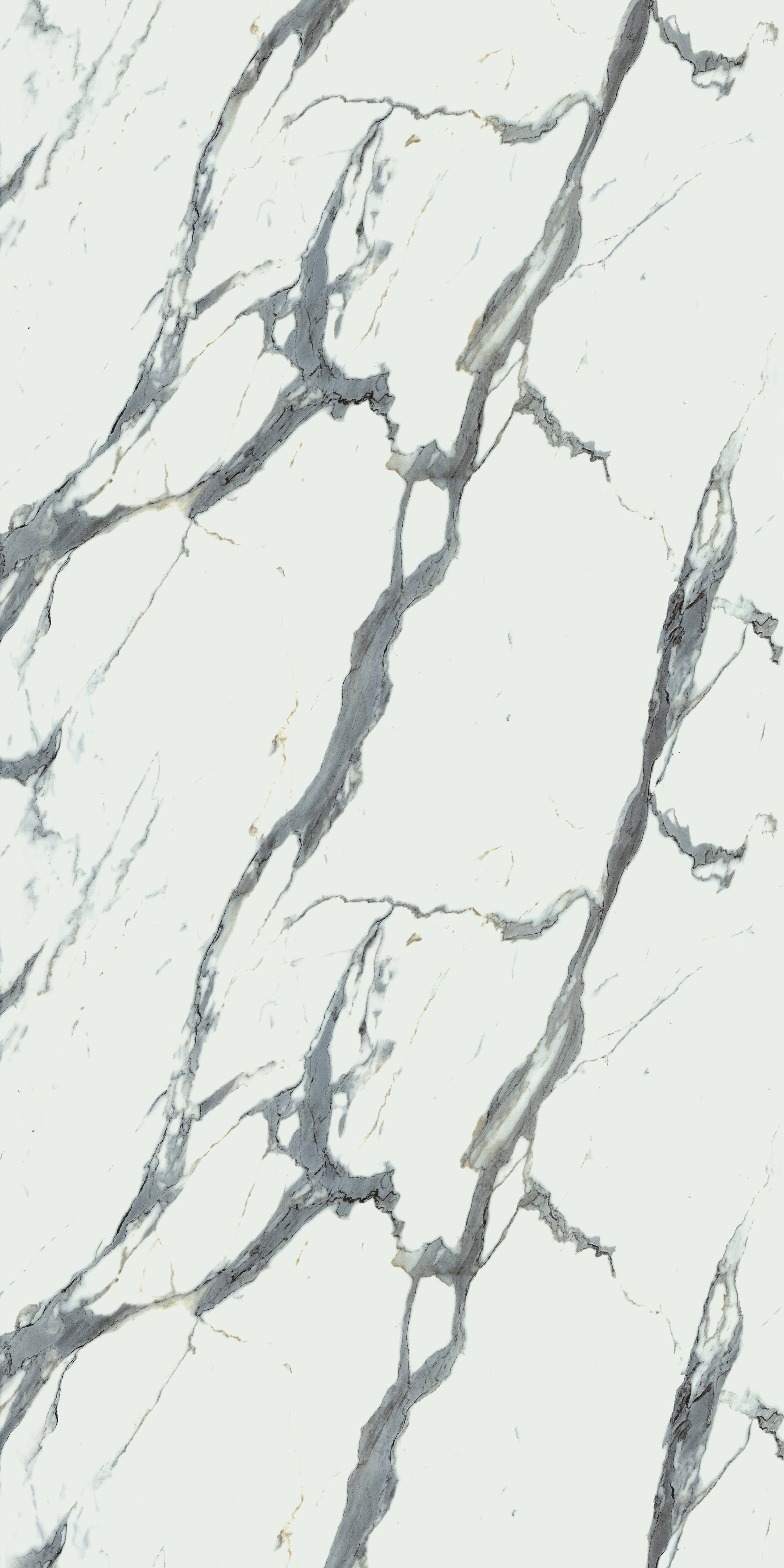 660 CRE 4 White Satvario
