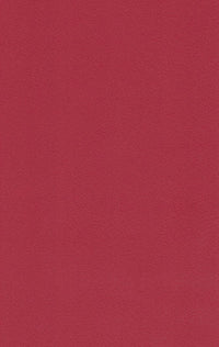 717 SMS DARK RED