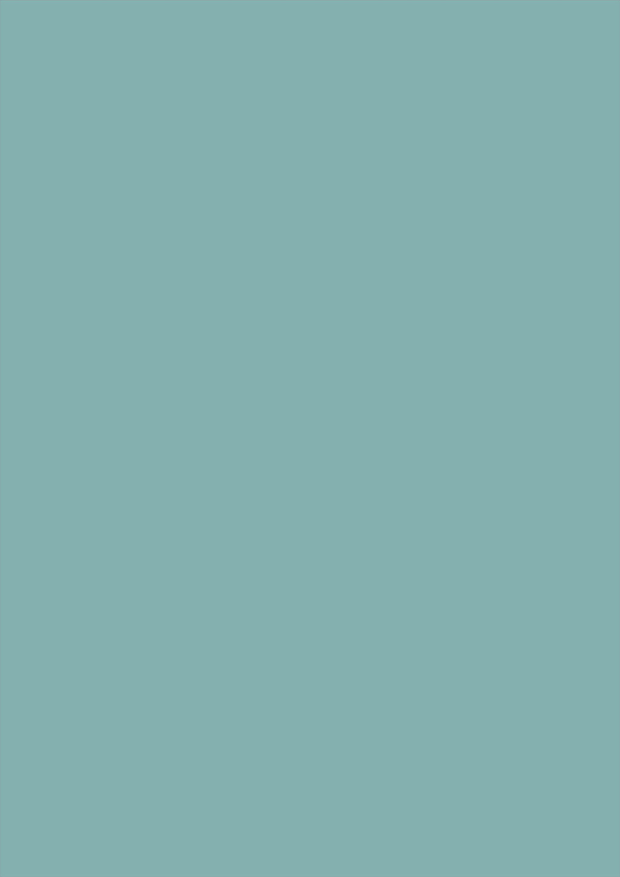 737 SLP PASTEL GREEN