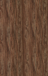 859 SMS CANADIAN WALNUT