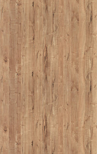 860 SMS AMERICAN ELM I