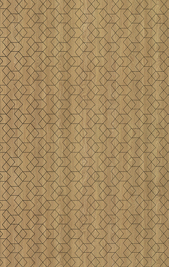 896 SMS ABSTRACTY WOOD