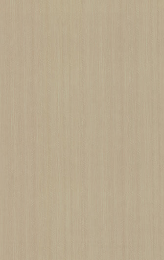 923 SMS DANDY WOOD LIGHT