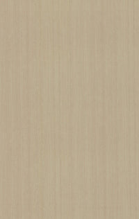 923 SMS DANDY WOOD LIGHT