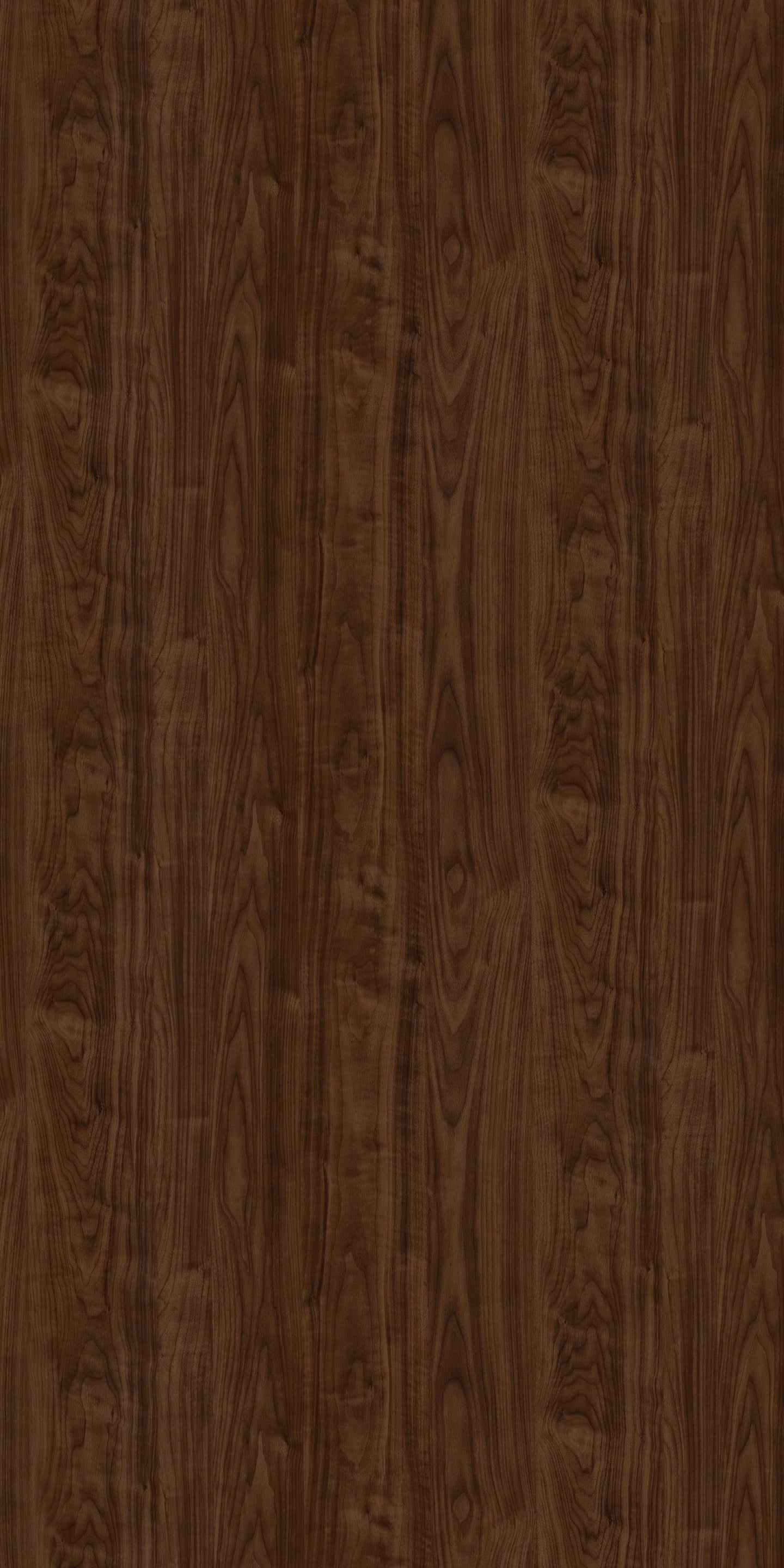 949 SMS DYED ASH BROWN