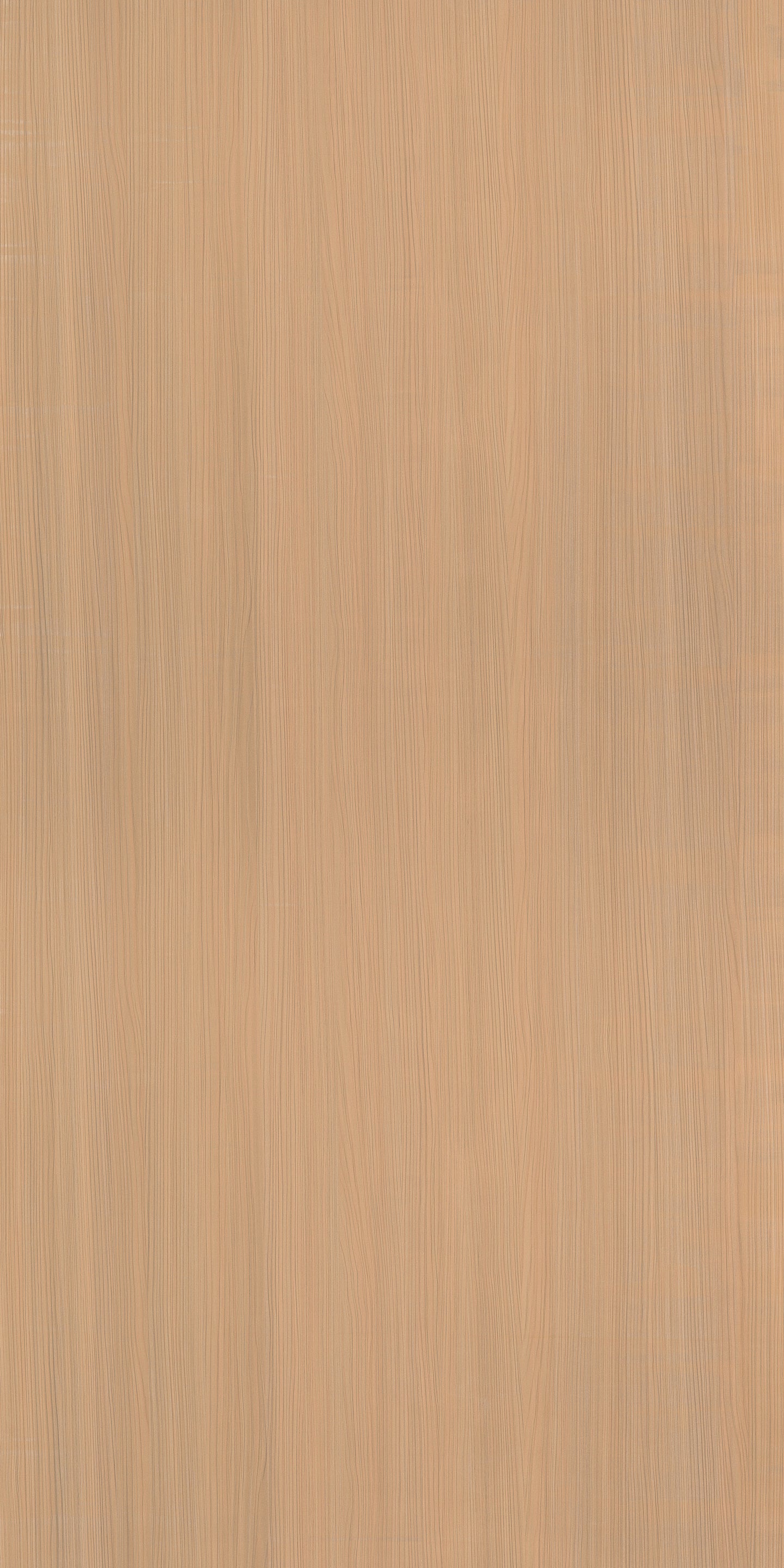 952 SMJ HOUSTON ELM LIGHT