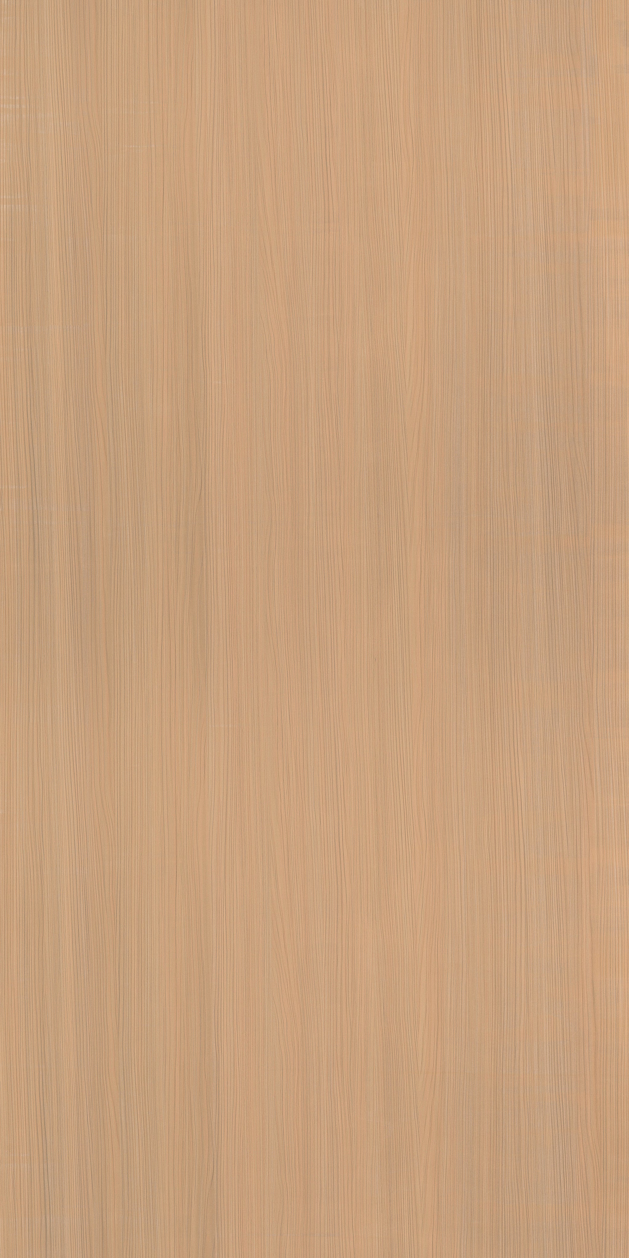 952 SMJ HOUSTON ELM LIGHT