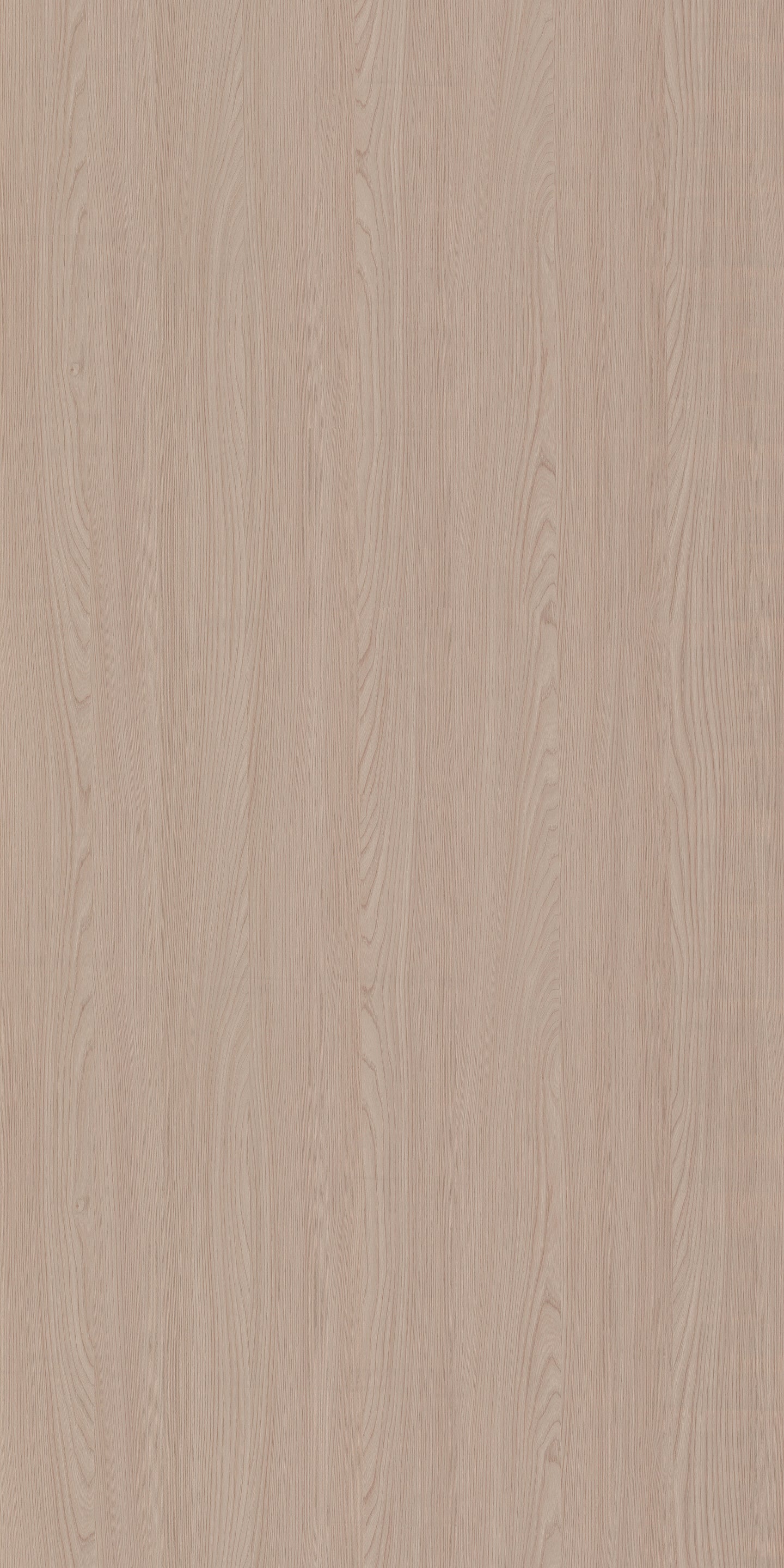 954 SMS WINDSOR OAK LIGHT
