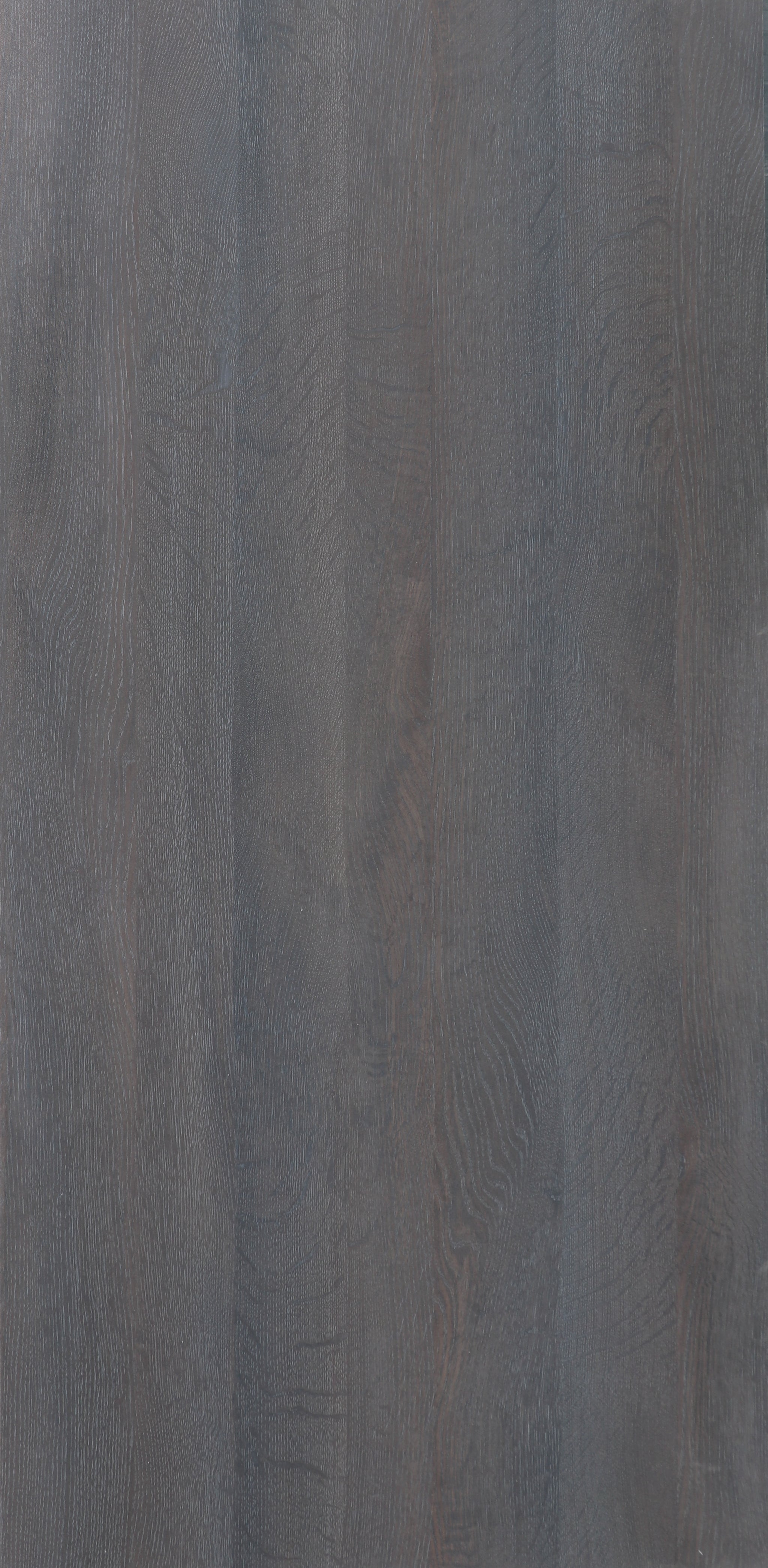 LP641 ZS8 Mareb Oak