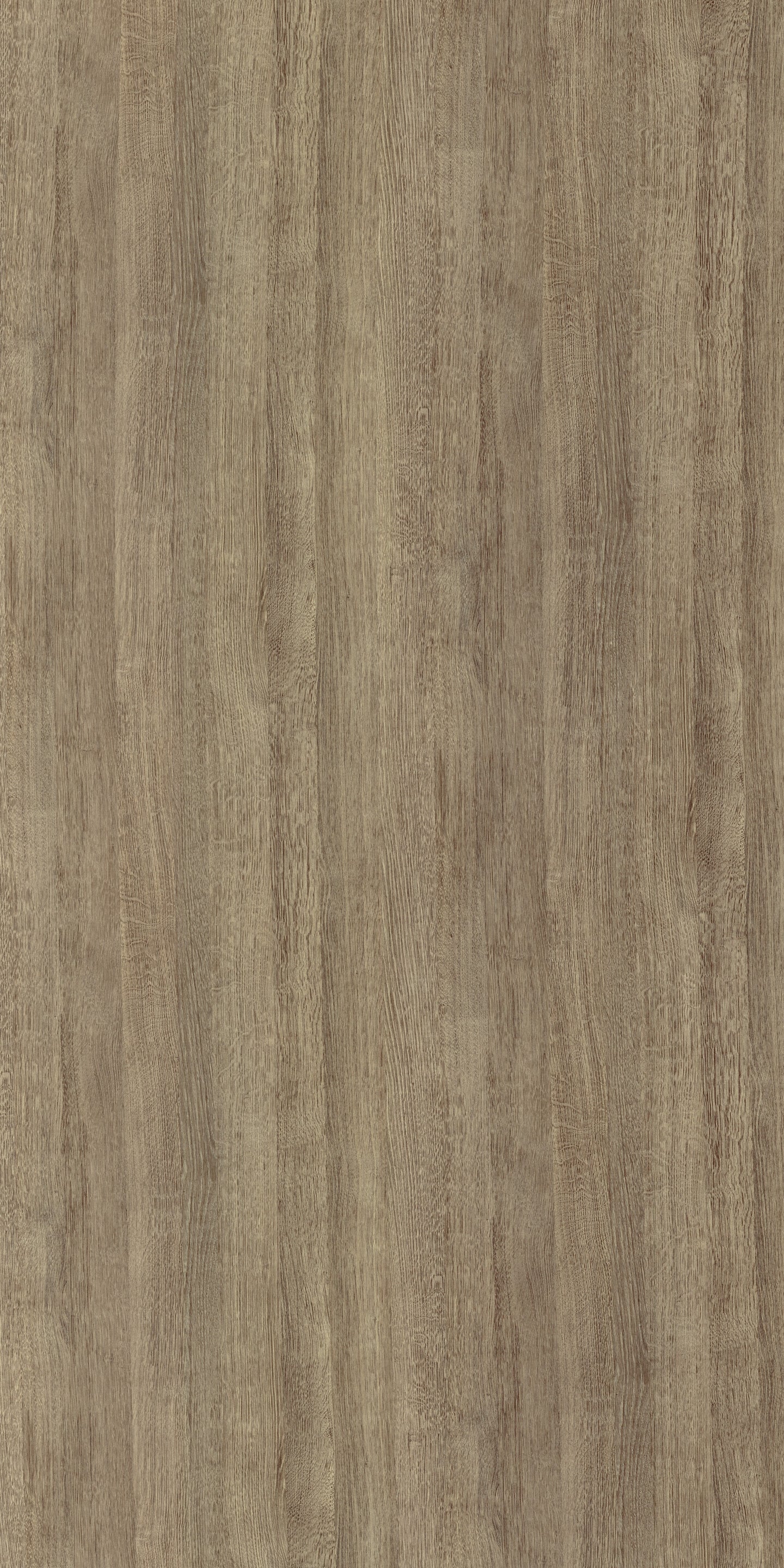 LP643 ZS10 Antrim Oak