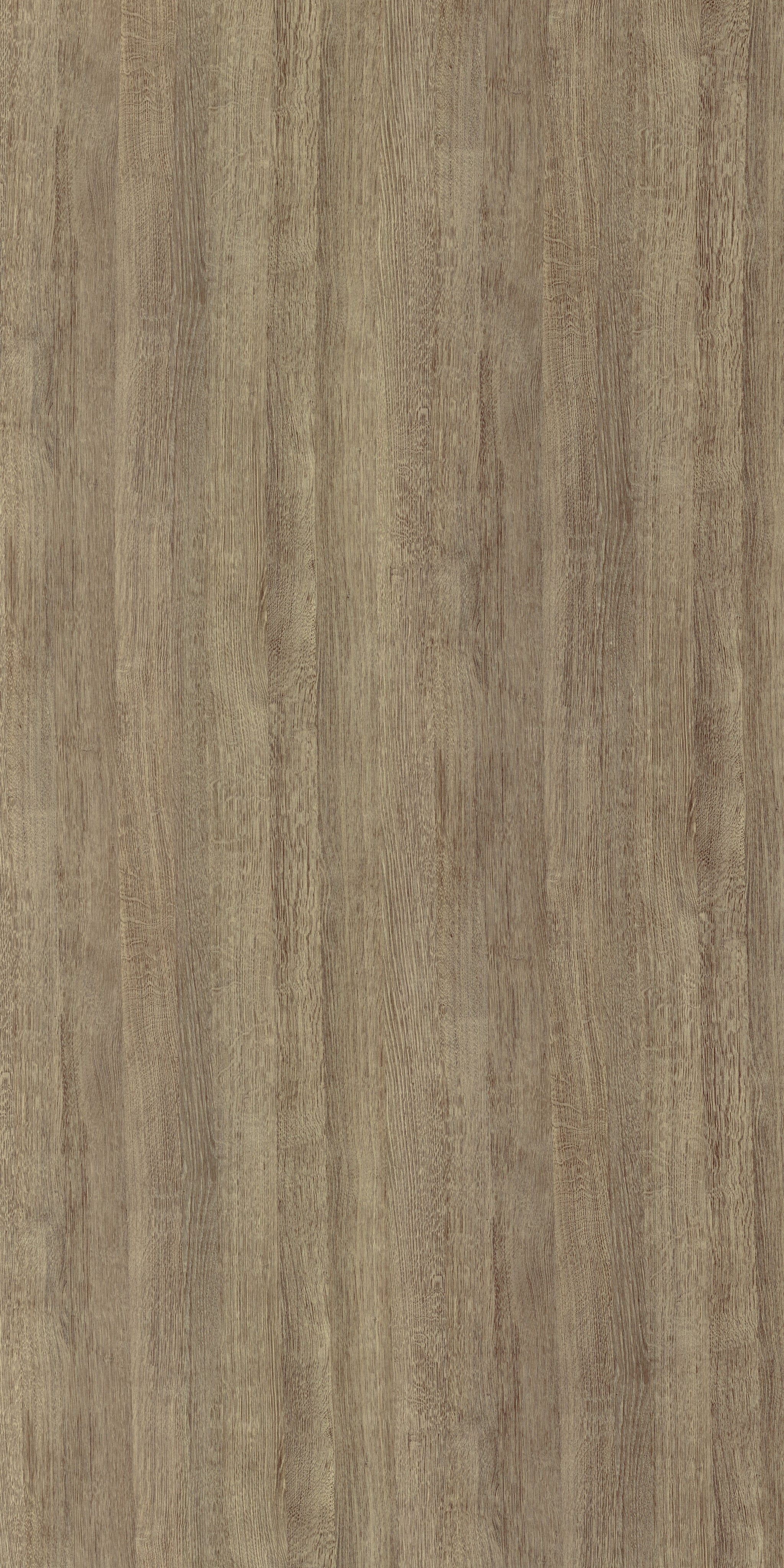 LP643 ZS10 Antrim Oak